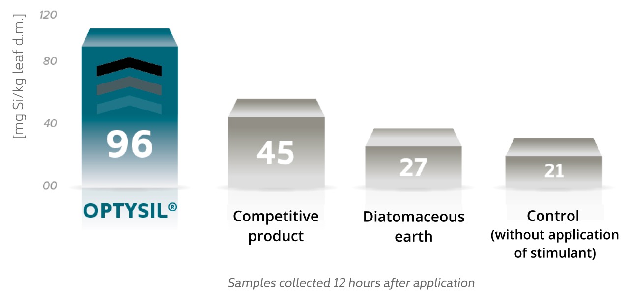 Efektywność intermag optysil