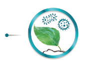 mniejsza podatność roślin na wnikanie patogenów
              chorobotwórczych